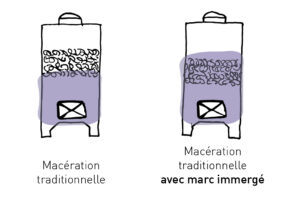 Cuves de macération du vin, traditionnelle et avec marc.