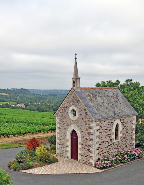 Petite chapelle en pierre entourée de vignobles.