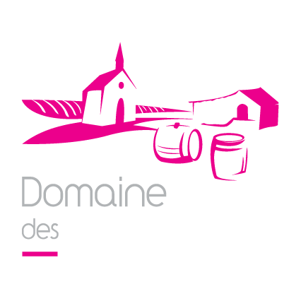 Logo du Domaine des vignobles.
