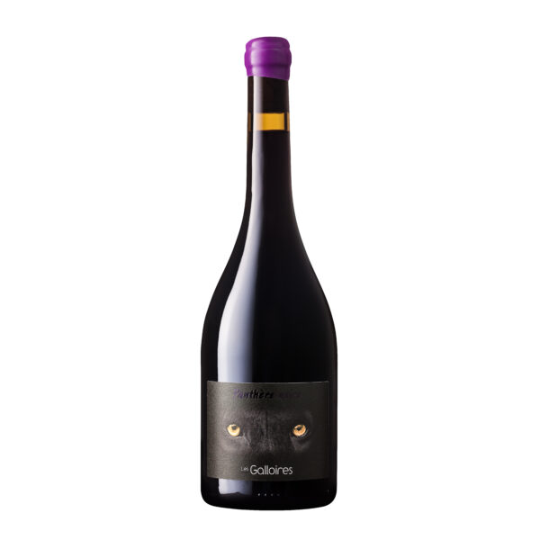 VDF Panthère noire